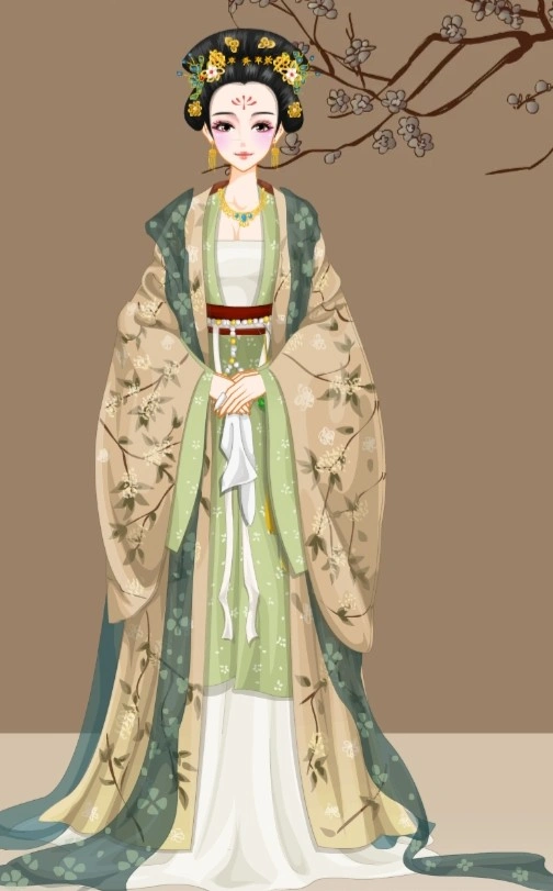 Hua fei
