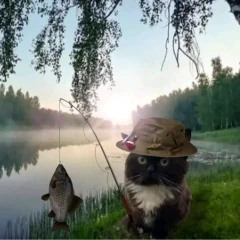 kitcat